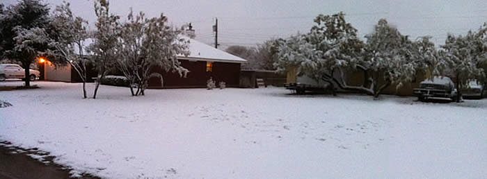 2011Snow.jpg