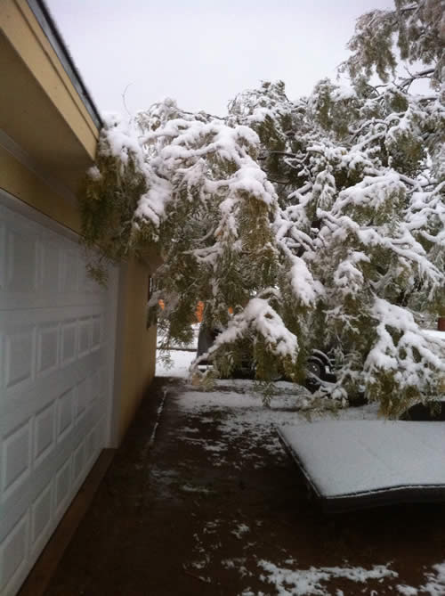 2011Snow2.jpg