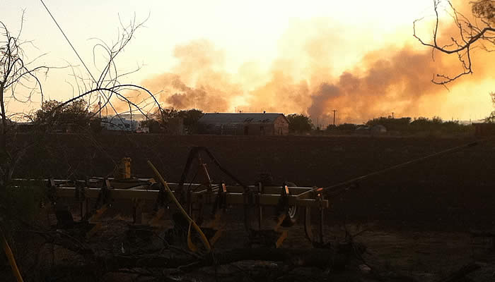 GrassFire.jpg