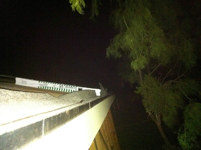 Roof14.jpg