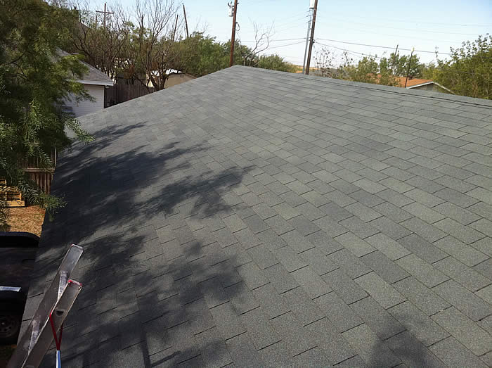 Roof19.jpg