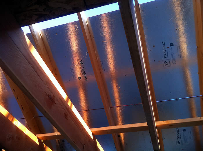 Roof2.jpg