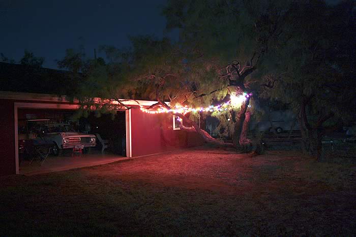 ShopNight2.jpg