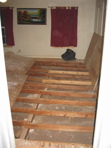 Floor.jpg