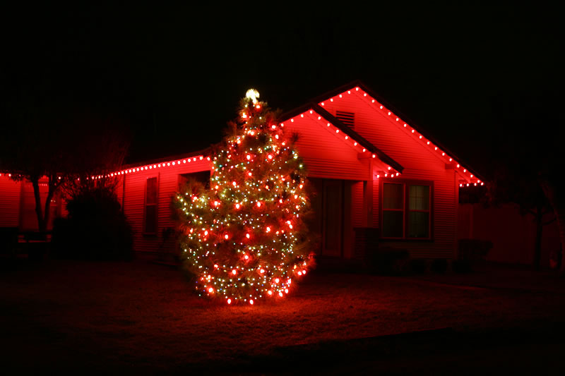 XmasLights09.jpg