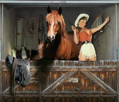 pinup_barn.jpg